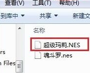 NESģM